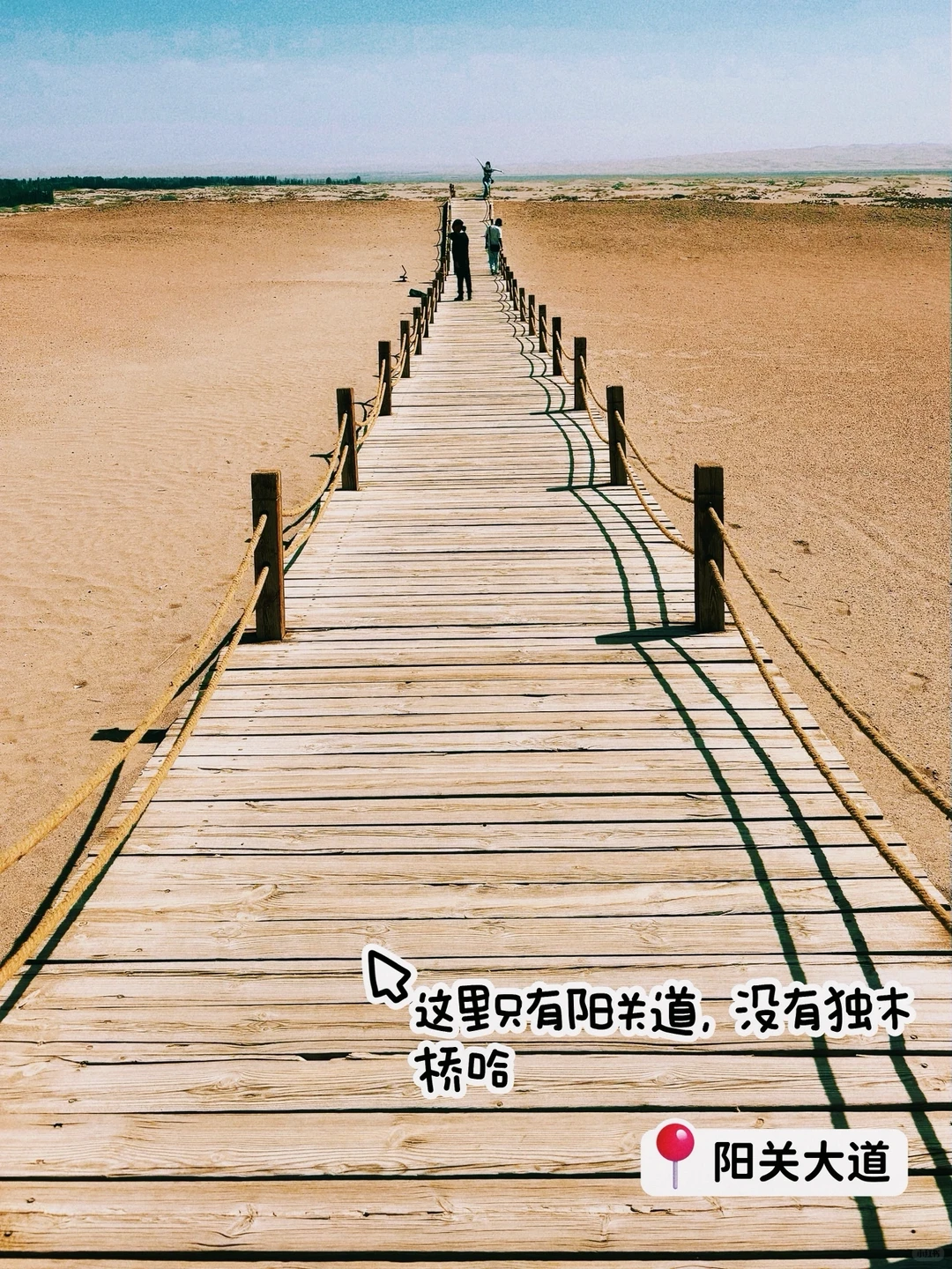 阳关-图2
