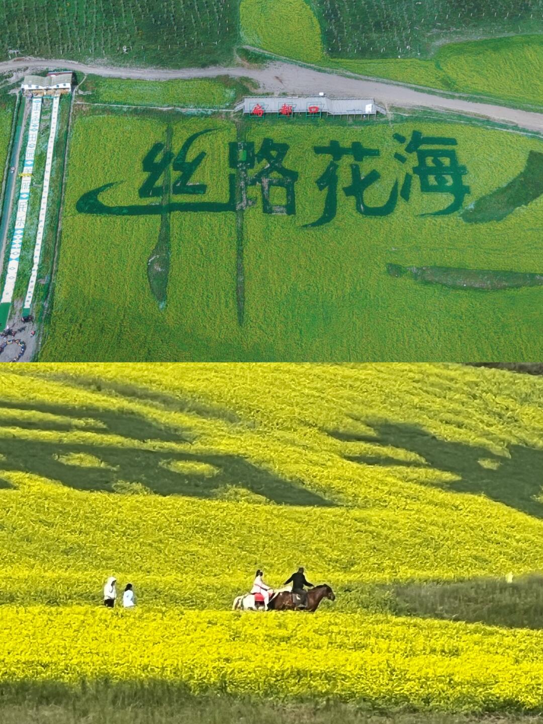 扁都口实景-1