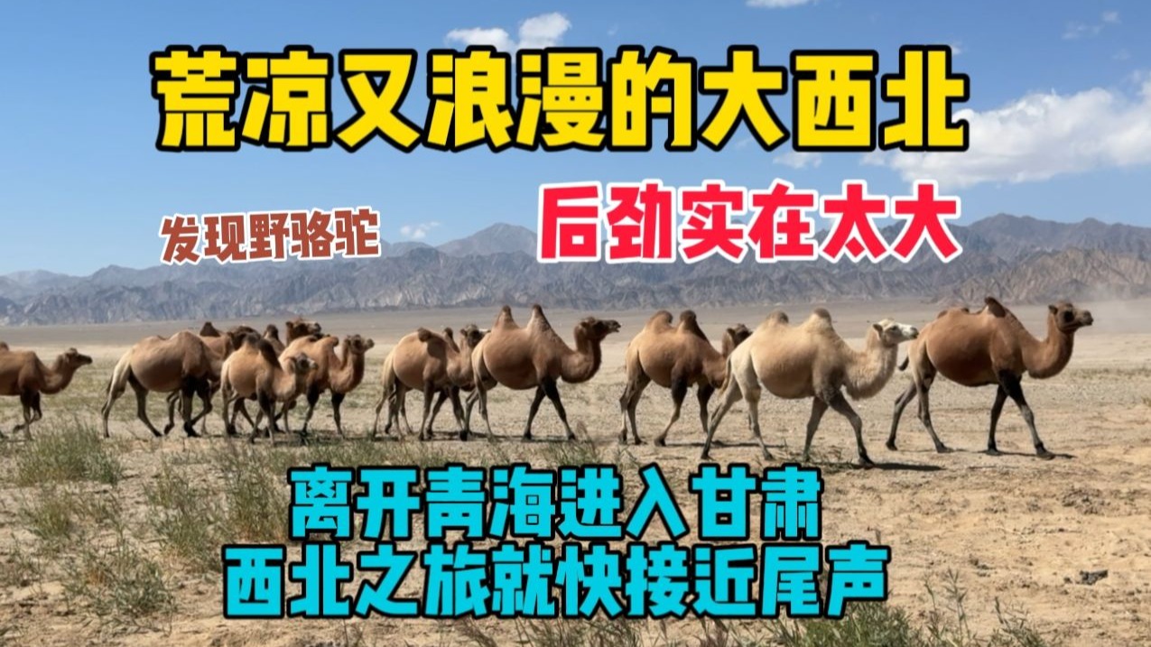当金山-B站视频截图5