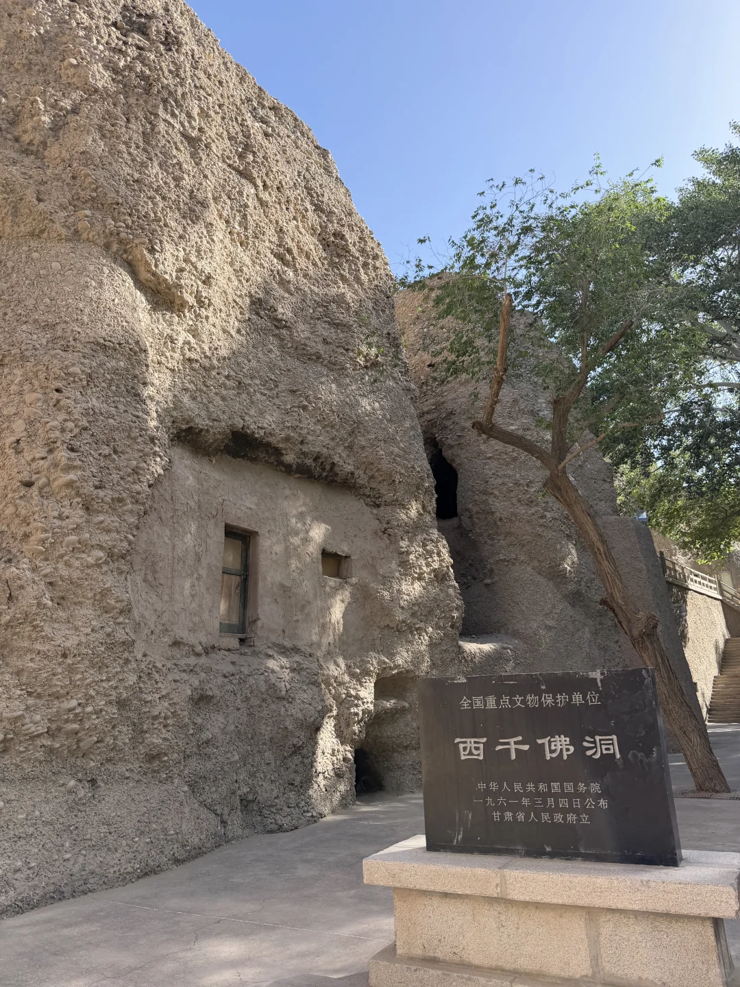 阳关-图5