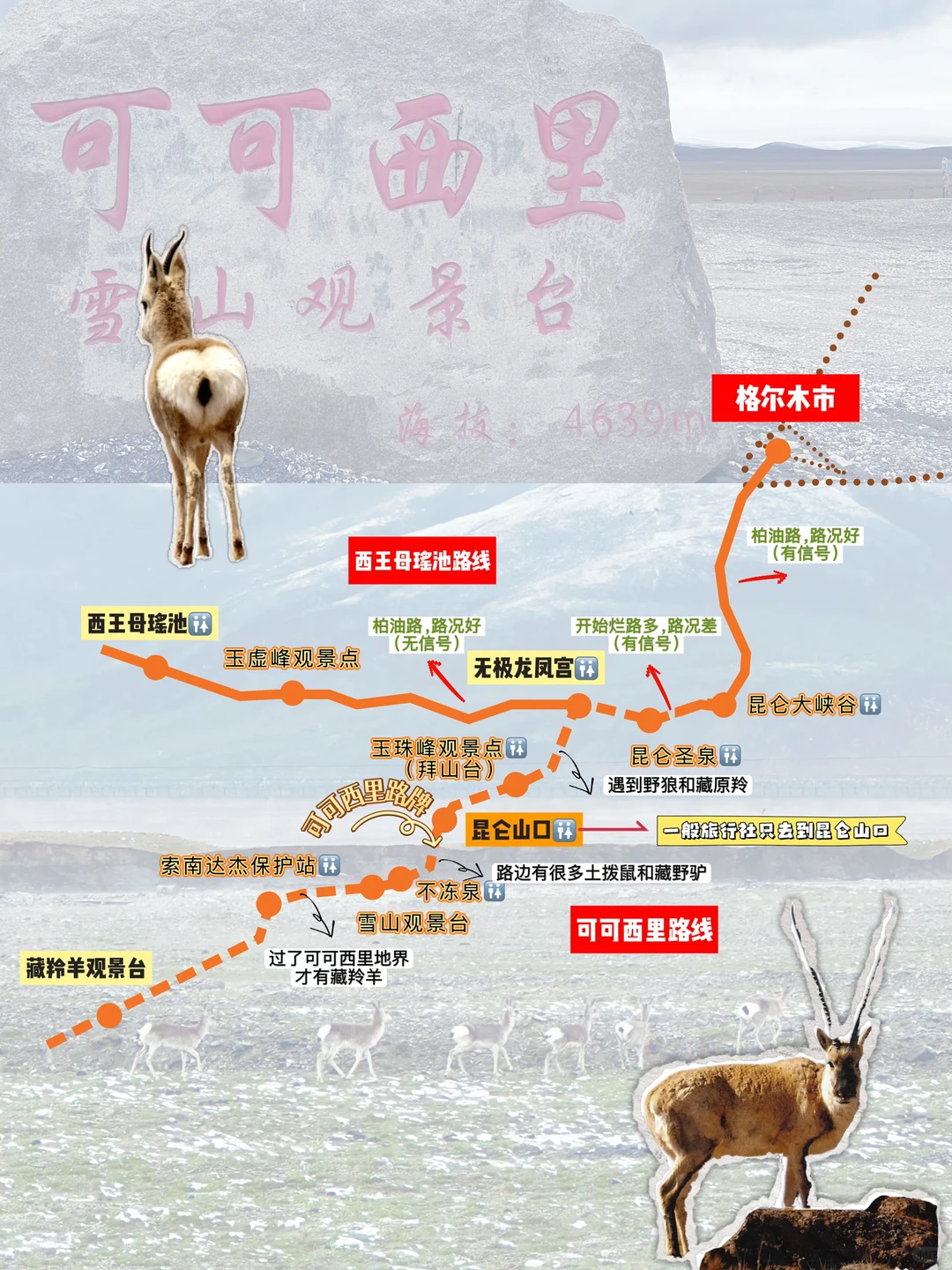 可可西里实景-1
