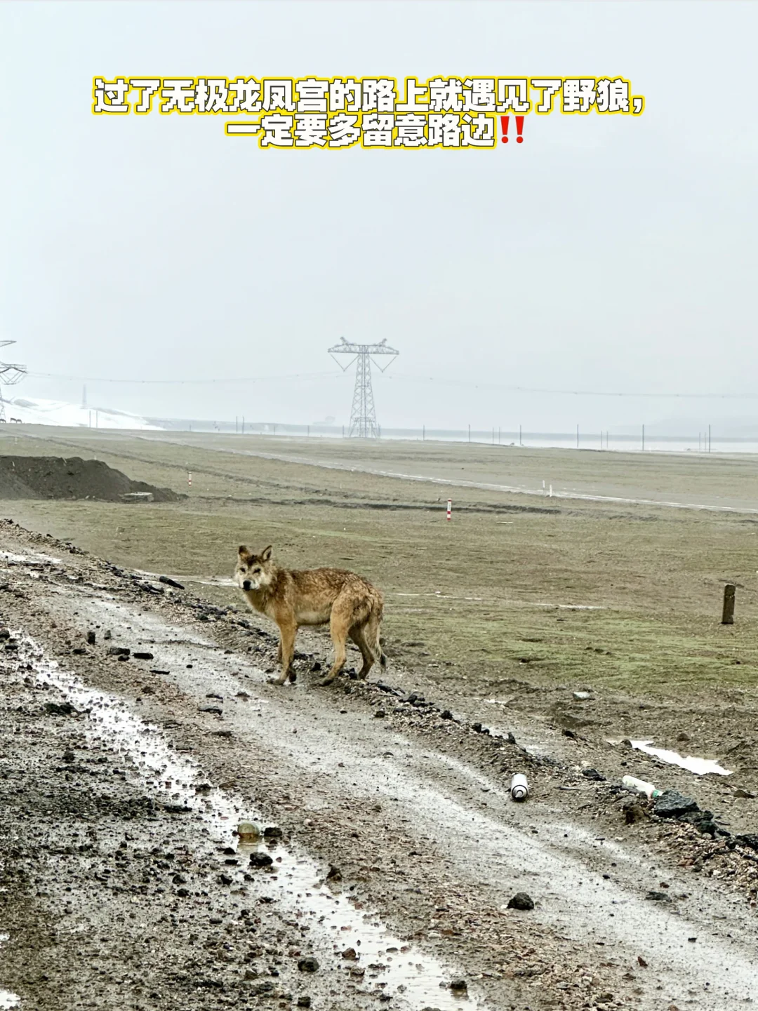 可可西里实景-5