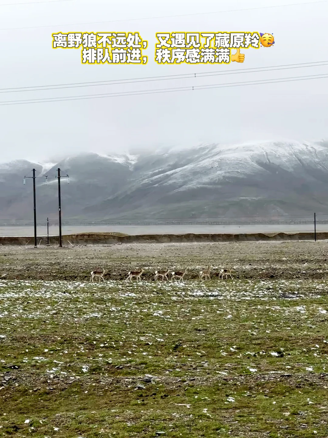 可可西里实景-6